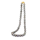 Gray Tahitian pearl necklace with a gold clasp on a white background | Ikecho Australia